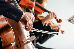 Cellist and violinist playing at the concert