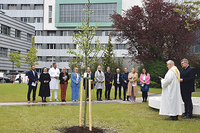 In Ried findet man den Apfelbaum im Patientengarten.     