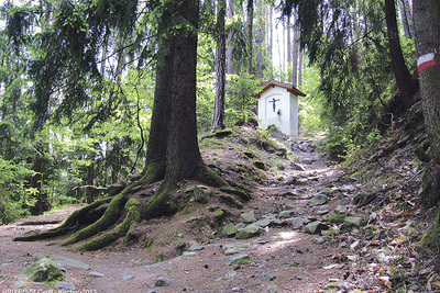 In der Stille den Heiligen nachspüren, von denen sich viele auf den Weg gemacht haben, um den Menschen Gutes zu tun. 