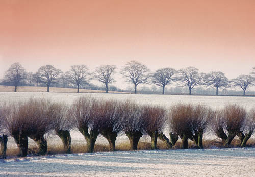 Winterlandschaft [ (c) www.BilderBox.com, Erwin Wodicka, Siedlerzeile 3, A-4062 Thening, Tel. + 43 676 5103678.Verwendung nur gegen HONORAR, BELEG,URHEBERVERMERK und den AGBs auf bilderbox.com](in an im auf aus als and beim mit einer einem eines * & 