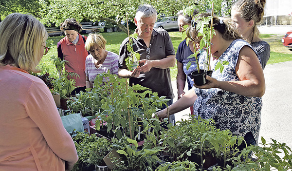 Pflanzentausch – organisiert von B-Fair. 