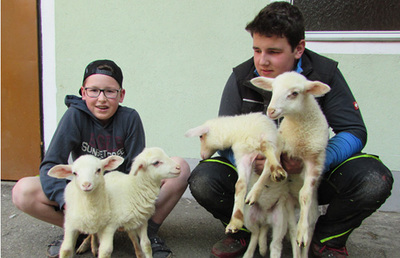 Daniel mit Hermine und Herman, Florian mit Gloria und Gusti