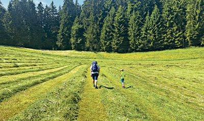 Abwechslungsreiche Wald und Wiesenwege sorgen für federnde Schritte.