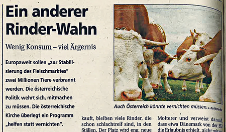 Thema vor 25 Jahren: Die BSE-Krise.  