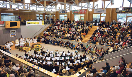Blick in die Arena der Versteigerungshalle von Freistadt.     