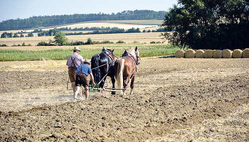 Pflugschar mit zwei PS.  