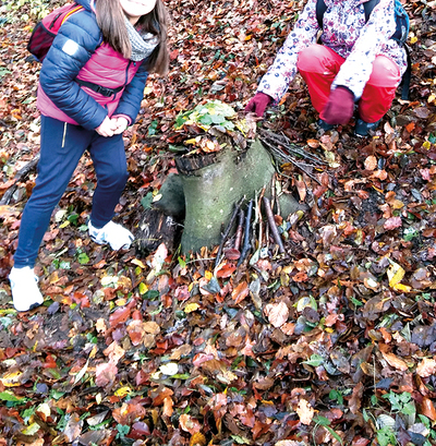Sooft wie möglich fährt Agnes B. mit ihren Schüler:innen in den Wald, wo sie mit Freude gemeinsam „Tierhäuser“ bauen.  