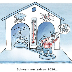 Nr. 33/2026