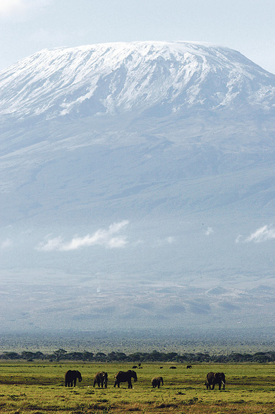 Der Klimawandel erreicht unterdessen auch den Gletscher des Kilimandscharo.