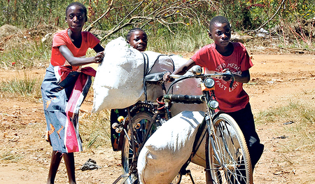 Jede Art von Fahrzeug ist eine enorme Hilfe zur Bewältigung des Alltags.  