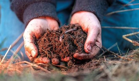 Humor wirkt im Leben wie der Wurm im Kompost. Aus Seelenmüll macht er fruchtbare Erde.