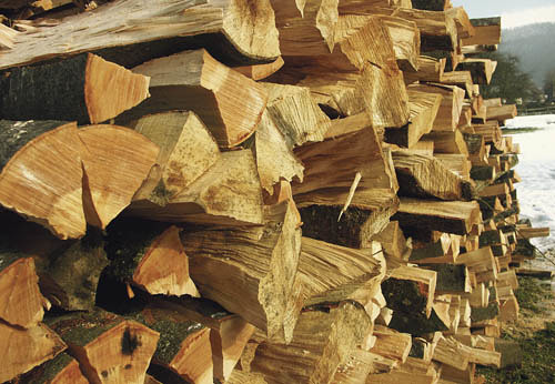 Brennholz - firewood [ (c) www.BilderBox.com, Erwin Wodicka, Siedlerzeile 3, A-4062 Thening, Tel. + 43 676 5103678.Verwendung nur gegen HONORAR, BELEG,URHEBERVERMERK und den AGBs auf bilderbox.com](in an im auf aus als and beim mit einer einem eines 