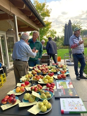 An die 50 Obstsorten konnten bestimmt werden.