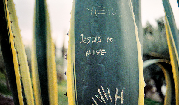 „Jesus is alive“ – „Jesus lebt“. Befreiende Botschaft, die verrückt klingt.   