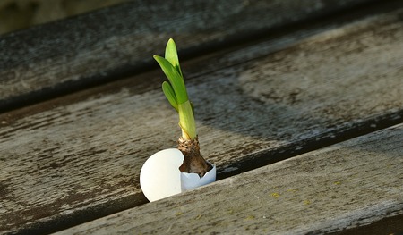 Neue Aufbrüche im Frühling