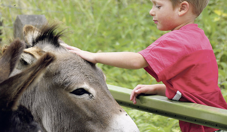 Kindern ist es oft ganz selbstverständlich ein Anliegen, eine gute Beziehung zu Tieren aufzubauen. Als Erwachsener muss man mitunter daran arbeiten. 