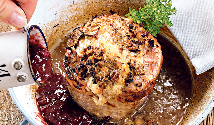 Löwenzahn Verlag / Miguel Dieterich