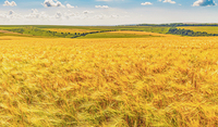 Im Vergleich zu Gott ist alles irdische Streben nur ein „Windhauch“. 