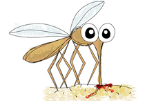 Mosquito, hand drawing vector