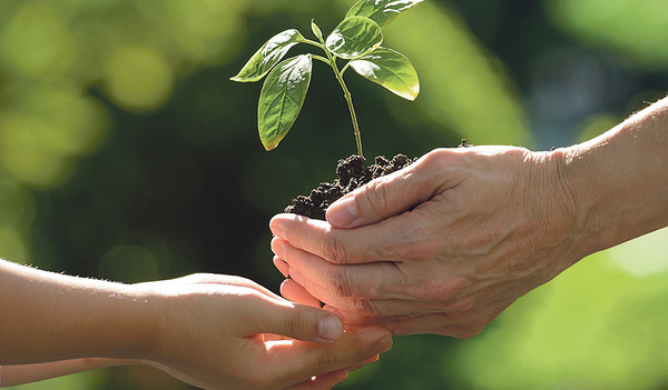 Beziehungen stärken: zu sich selbst, zu anderen, zur Natur und zu Gott. 