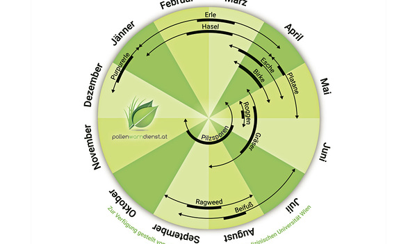 Dieser Pollenkalender zeigt an, wann Belastungen für Allergiker/innen in Österreich zu erwarten sind.