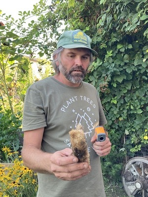 Mahringer präsentiert den Putzschwamm aus der Luffa-Gurke.