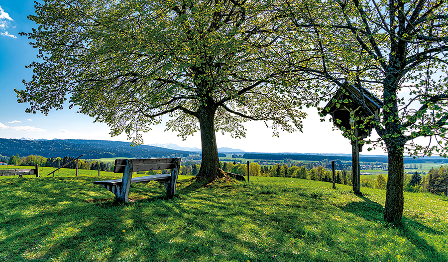 Inwiefern ist das Kreuz eine Erlösung? Eine Sommerwoche bietet theologische Einsichten.  