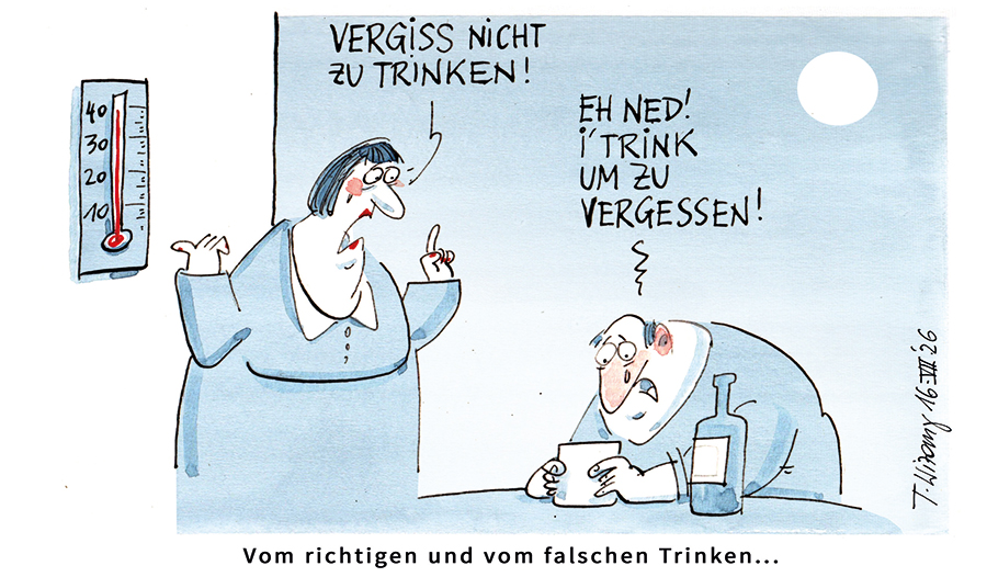 Nr. 29/2026