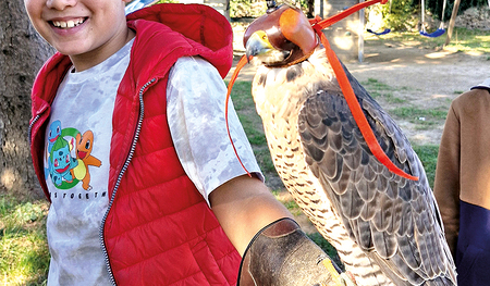 Der Falke auf dem Arm war ein Höhepunkt der Schullandwoche. Wenn Kinder aufblühen, stärkt das die Motivation von Agnes B.  