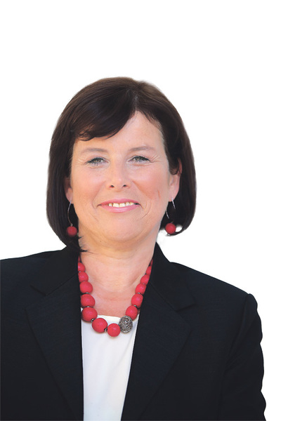 Birgit Gerstorfer, Sozialdemokratische Partei