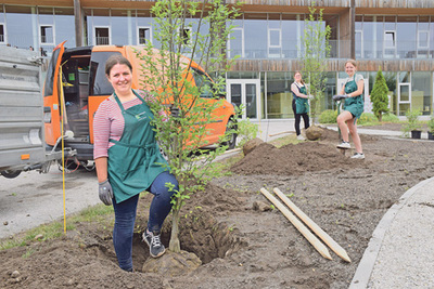 Schülerinnen des abz Lambach bepflanzen das neue Dorfplatzl.