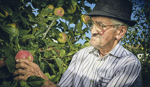 Die Falten stören nicht, Hauptsache gesund und klar im Kopf.   