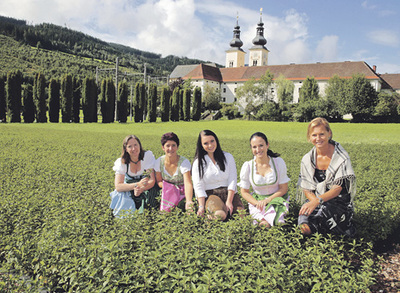 Kräutergarten (vor Corona)