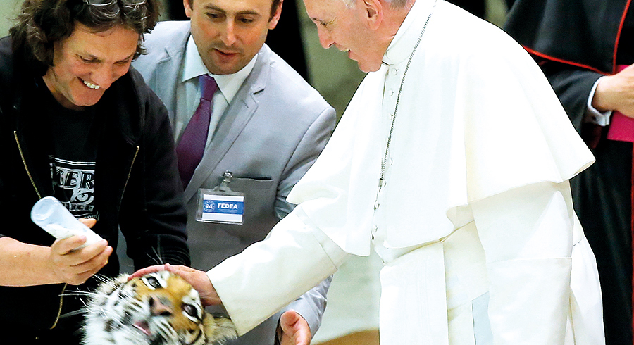 Berührungsängste kannte Papst Franziskus nicht. Am 16. Juni 2016 streichelte er einen jungen Tiger und machte damit seinem naturverbundenen Namenspatron aus Assisi Ehre.  
