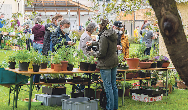 Blumen- und Pflanzenmarkt St. Marien