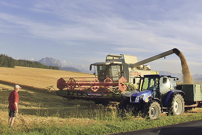 Landwirtschaft ist mit Industrie und Fremdenverkehr eine Säule der Traunsee-Region.  