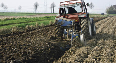 Traktor auf dem Feld - tractor at field