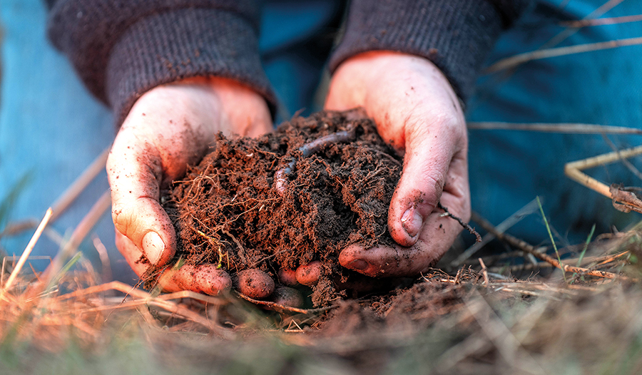 Humor wirkt im Leben wie der Wurm im Kompost. Aus Seelenmüll macht er fruchtbare Erde.