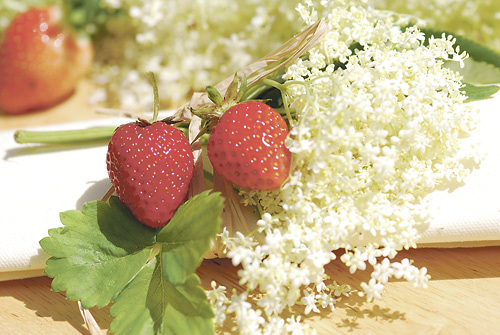 Erdbeer-Holunderblüten-Marmelade