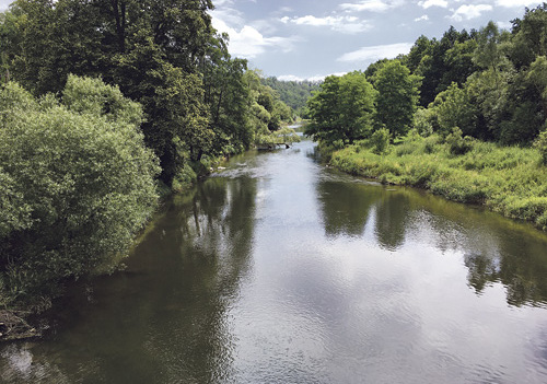 Kamp in Stiefern 