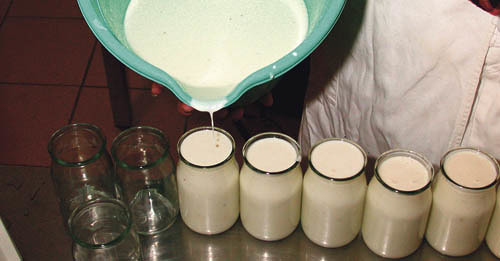  agrarfoto.com - Hans-Peter Zwicklhuber; Gosenhuberstr.10; 4550 Kremsm?nster; Austria; office@agrarfoto.com; www.agrarfoto.com; Bankverbindung- Raiba Kremsm?nster BLZ 34233; Kto.3426; IBAN AT67 3423 3000 0000 3426; BIC RZ00AT2L233; Sparkasse Passau B