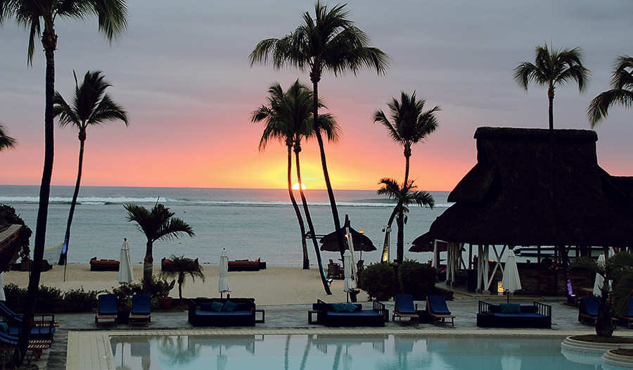 Schön anzuschauen: Derzeit gibt es rund 2600 Arten von Palmen. 