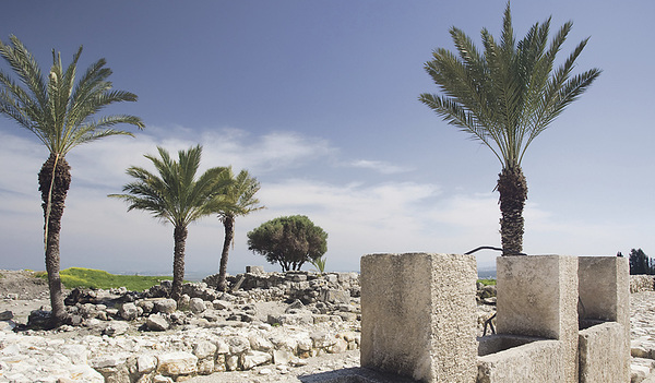 6000 Jahre Menschheitsgeschichte in Megiddo: Von frühen Zeugnissen wie den Pferdeställen
