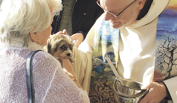 Pfarrer Franz Zeiger segnet seit zwanzig Jahren in seiner Pfarre Linz-St. Peter Hund, Katze und Co. In seinem Pfarrhof leben derzeit sechs Katzen und eine Hündin.  