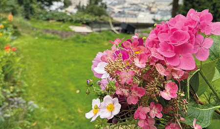 Danke zu sagen – auch mit Blumen – ist ein kleiner, aber wichtiger Schritt gegen die allgemeine Erschöpfung, sagte Psychologieprofessorin Tuulia Ortner anlässlich der Salzburger Hochschulwochen. 