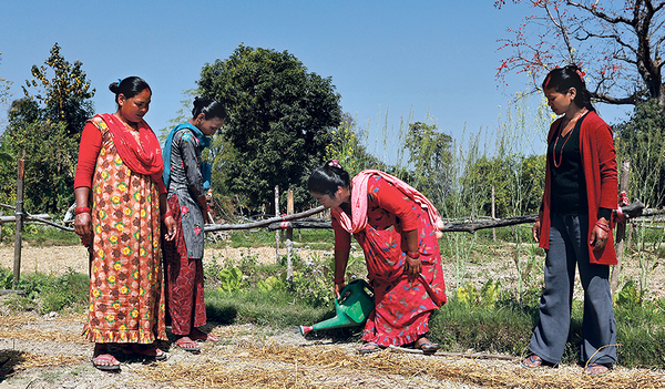 In den landwirtschaftlichen Kooperativen des Social Work Instituts in Nepal bringt Agrartechnikerin Sunita Chaudhary (rechts) Tharu-Frauen bei, wie sie durch ökologische Landwirtschaftsmethoden und traditionelles Saatgut der Klimakrise besser trotzen