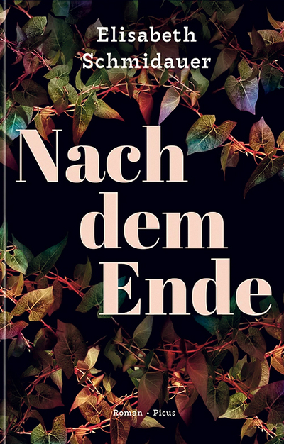 Elisabeth Schmidauer, Nach dem Ende: Picus Verlag, Wien 2026, 287 Seiten, € 26,–