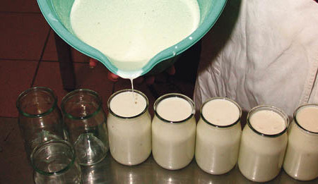  agrarfoto.com - Hans-Peter Zwicklhuber; Gosenhuberstr.10; 4550 Kremsm?nster; Austria; office@agrarfoto.com; www.agrarfoto.com; Bankverbindung- Raiba Kremsm?nster BLZ 34233; Kto.3426; IBAN AT67 3423 3000 0000 3426; BIC RZ00AT2L233; Sparkasse Passau B