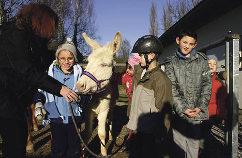 Caritas f?r Menschen mit Behinderung, St, Isidor, Hippotherapie, Esel Fridolin, Barockesel, seltene Rasse, von der es in ganz Europa nur noch 70 Tiere gibtTiere unterst?tzen Erziehung und Therapie, psychisch beeintr?chtigte Kinder, Isl?nder, Pferd, R