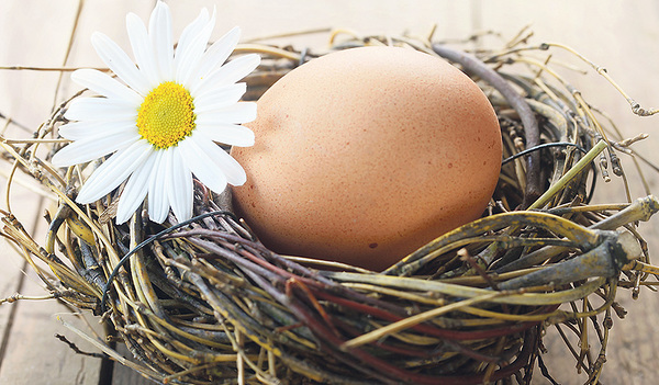 Das Ei – ein kleines Oval mit großer Symbolkraft